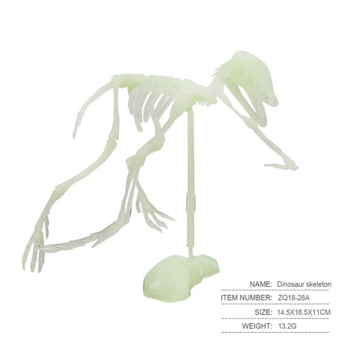 

Sagit Имитация костей динозавров Игрушка Светящаяся модель скелета человека Игрушка на Хэллоуин One Size