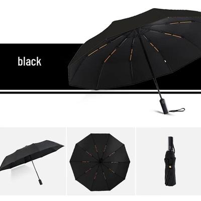 Double-Layer Automatic 10-Rib Windproof Sun Umbrella