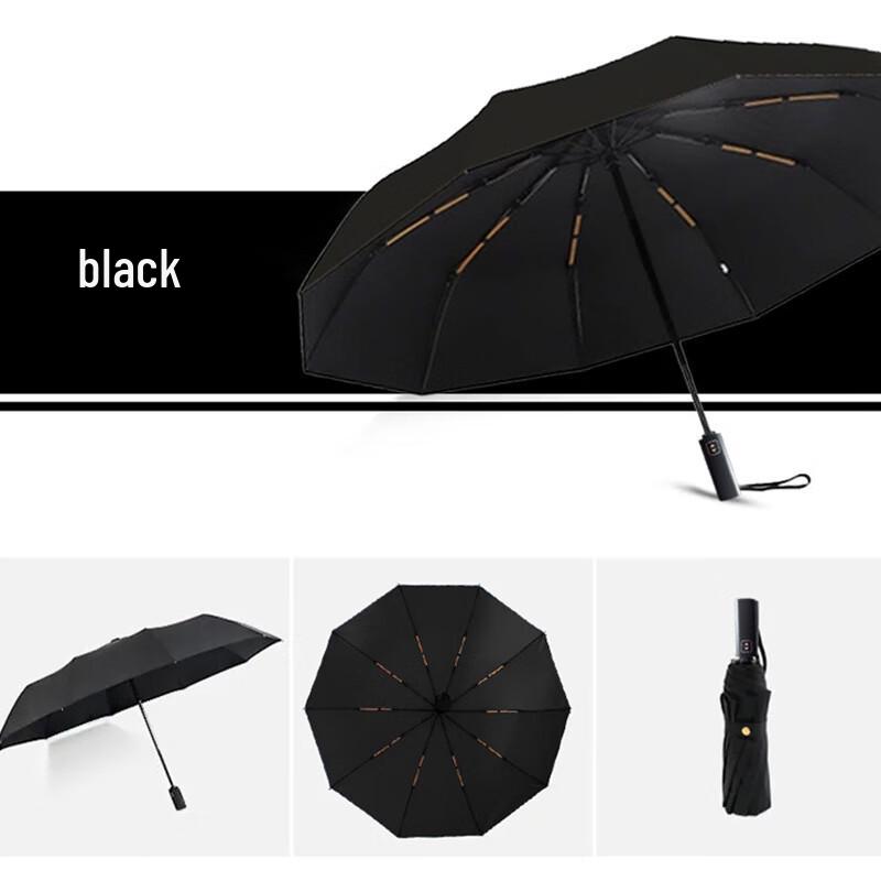 Double-Layer Automatic 10-Rib Windproof Sun Umbrella