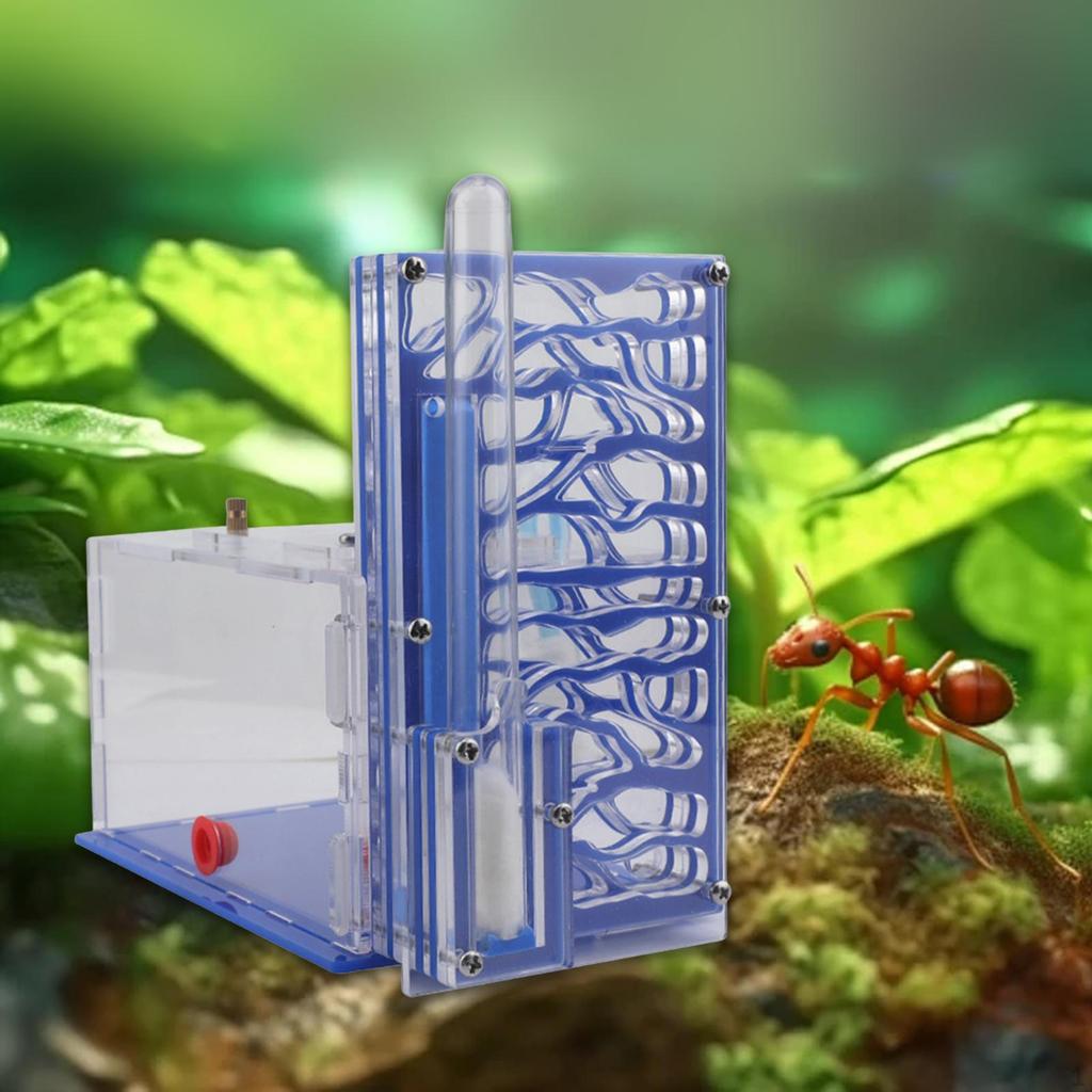Compact DIY Moisture Nest Box for Science Observation Living Room Home Kitchen