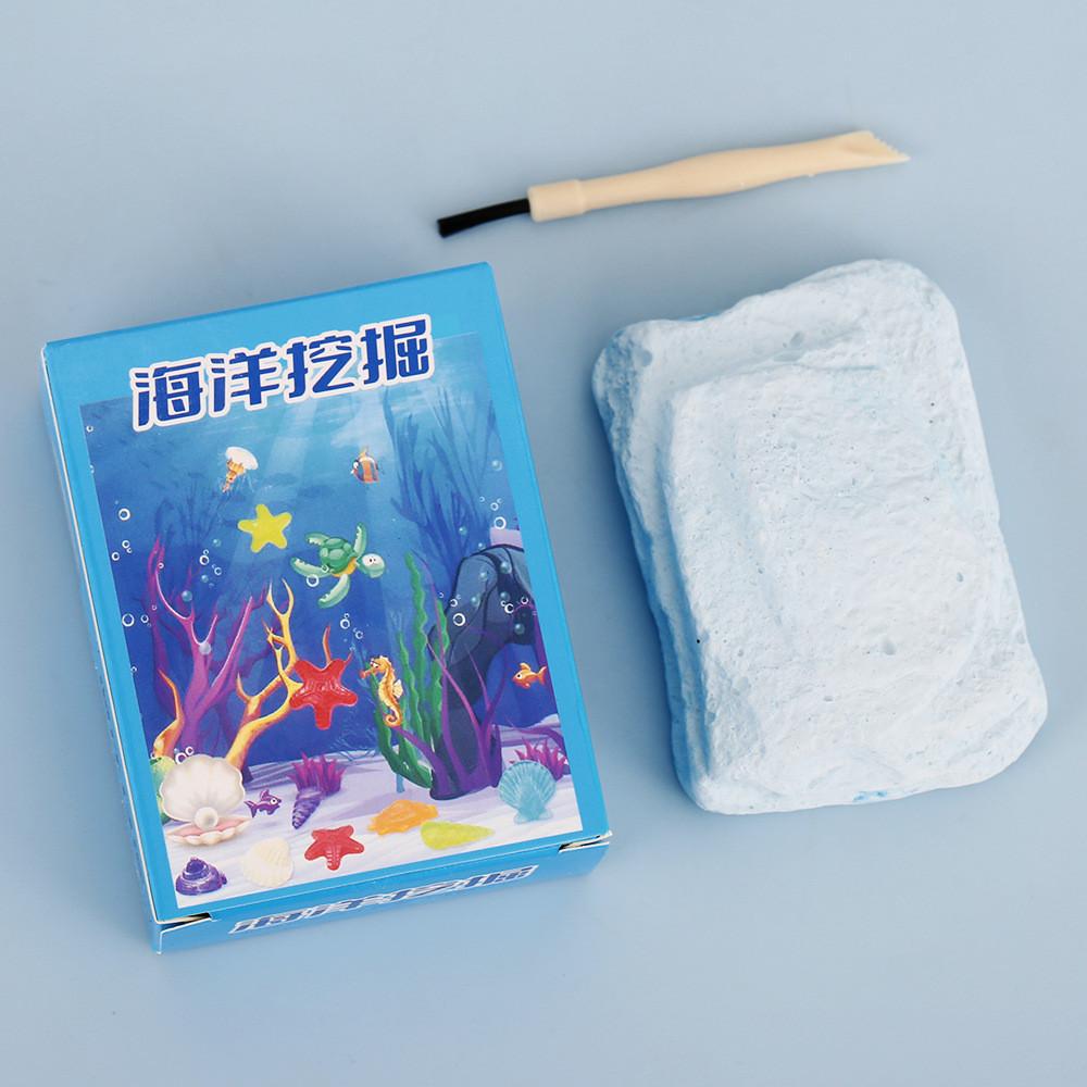 

Fossil Marine Digging Toy With Handcrafted Shells For Kids Educational Play