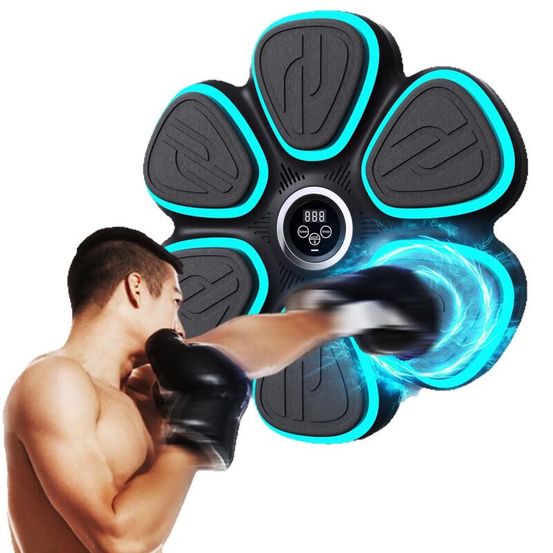 WEZHO Wall Mounted Boxing Machine