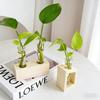 Creative Hydroponic Test Tube Glass Vase Wooden Flower Stand Home Decor Plant Container Desktop Flower Arrangement Stand Ornamen