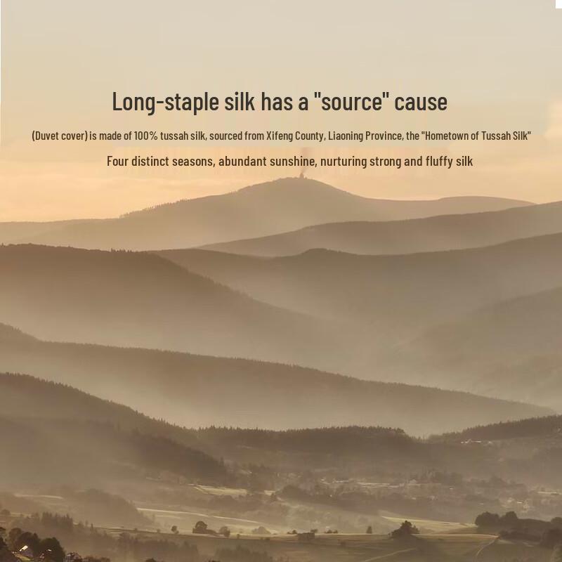 LUOLAI Silk-Wool 2-in-1 Duvet Set