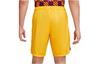 Nike Casual Shorts Men's Yellow Moderate DR5080-728