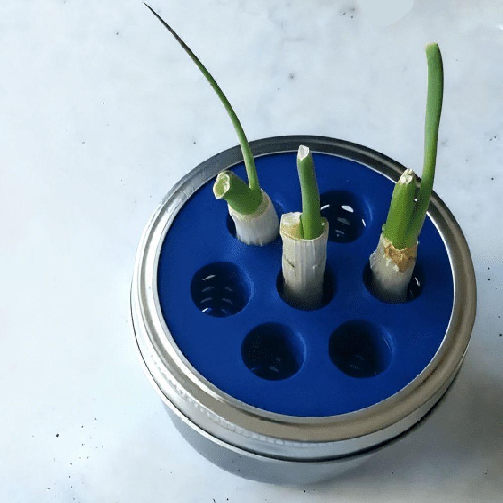 7 Cells Seed Starter Tray Breathable PLA Nursery Tray Plant Germination Tray  for Flower Seeds