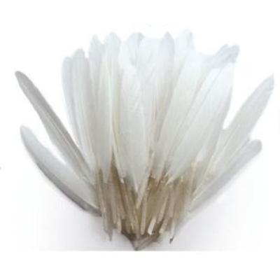 Indian Feathers - White - 10g Bag - Approximately 40 Feathers - Length 15 Cm