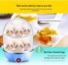 Mini Multi-Functional Egg Steamer with Automatic Power-Off for Household Use