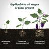 18Pcs Plant Slow-Release Nutrition Stick, Universal Flower Fertilizer, Potted Slow-Release Tablet Fertilizer For Green Plants