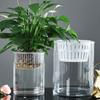 Hydroponic Glass Cylinder Vase for Pothos & Peace Lily - Transparent Water Culture Container with Free Shipping.