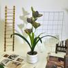 Simulation Cymbidium Faberi Rolfe Riverstones Bonsai For Photography Prop Use