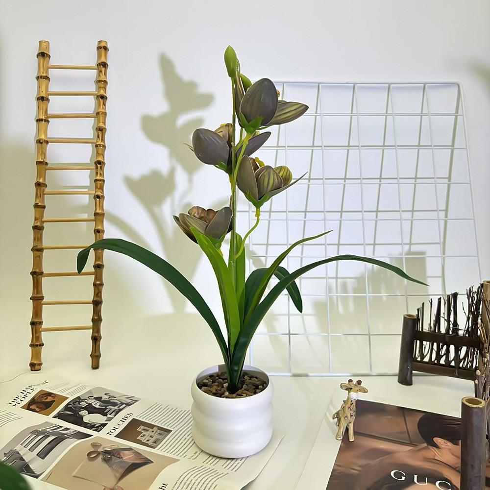 Simulation Cymbidium Faberi Rolfe Riverstones Bonsai For Photography Prop Use
