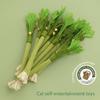 3Pcs Bells Equipped Cats Chew Toy Interactive Realistic Celery Shape Silvervine Enhances Felt Plaything For Indoor Pet