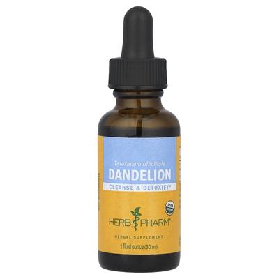 Tarassaco, 30 ml (1 fl oz) (679 mg per porzione)