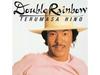 [CD] Double Rainbow Limited Edition Hino Terumasa SICJ-218 Jazz Collection 1000