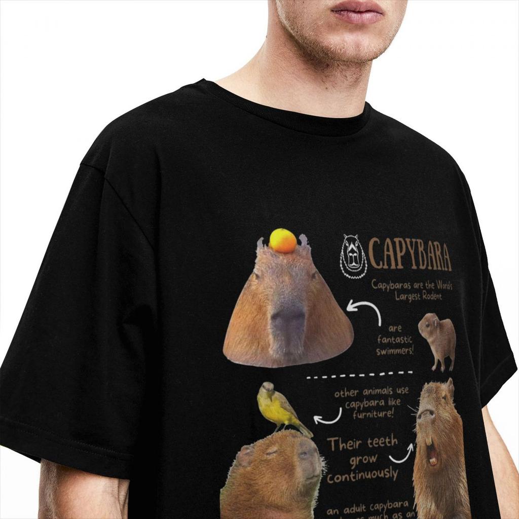 Crazy Capybara Fun Facts T-Shirts Men Women Cotton Cute Capybaras Tees Shirt Gift Idea Clothes