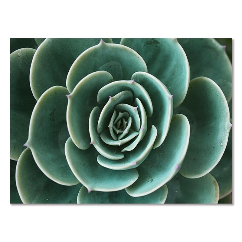 

Абстрактное зеленое растение, природа, холст, живопись, скандинавское настенное искусство, листья, постеры, принты, цитаты, картинки для гостиной, домашний декор 21x30cm No Framed