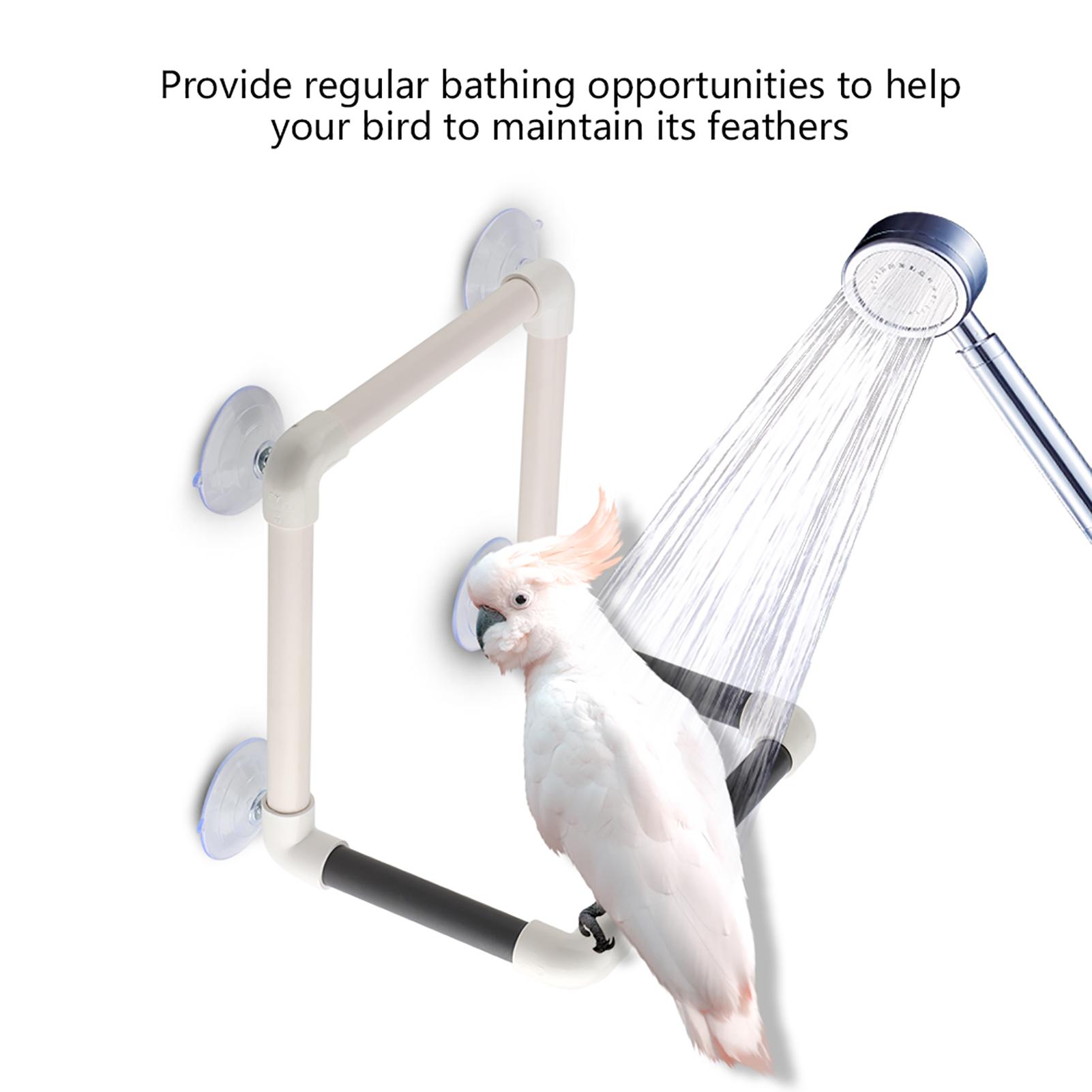 

Portable Parrots Birds Perch with Suction Cups Window Shower Bath Wall Plastic Standing Toy