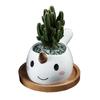 Cute Cartoon Animal Dolphin Succulent Flower Pot Creative Desktop Plant Decoration Ceramic Flower Pot