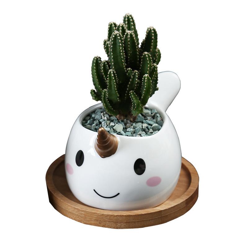 Cute Cartoon Animal Dolphin Succulent Flower Pot Creative Desktop Plant Decoration Ceramic Flower Pot