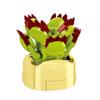 Educational Small Particles Mosaic Building Block Flower Simulation Tang Yin Succulent Potted Plant Compatible With A High Building Block Model Toy