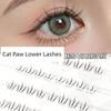 New Realistic Cute Kitten Paw Lower Eyelashes, Segmented Transparent Stem Eyelashes, Book-Style Cosplay Makeup Special, Photogenic Style