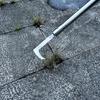   Ergonomic Standing Operation Garden Weeders and Moss Scraper with Long Adjustable Handle
