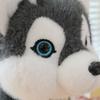 New Standing Husky Doll Plush Toy Simulated Dog Doll 2 Ha Three-dimensional Pillow