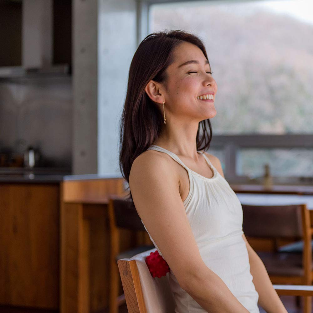 Relaxing Work HATACHI Refreshing Ball NH3700