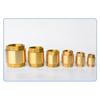 1Pcs In-Line Spring NPT Brass Check Valve Female Thread Anti Backflow Valve Durable One-Way Valve