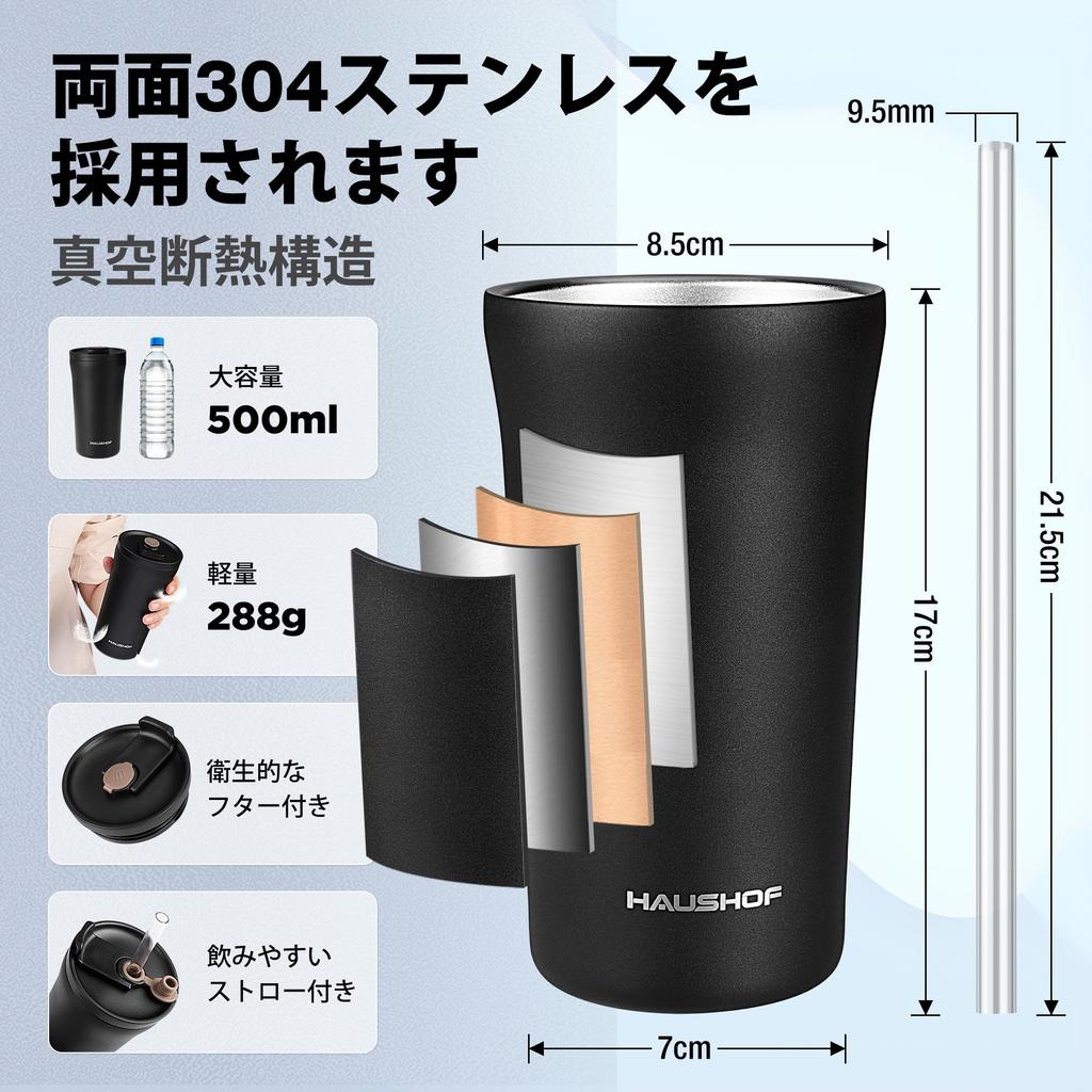 HAUSHOF Vacuum Insulated Tumbler with Straw and Direct Drinking Insulated Water Stainless Steel Convenience Store Car Outdoor Gift for Birthday