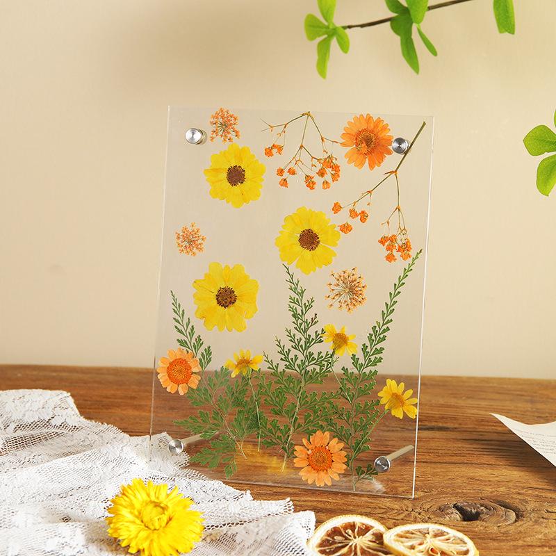 Nordic Simple Acrylic Photo Frame - 6-7 Inch DIY Dried Flower Pressed Specimen