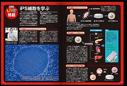 [DVD Included] Human Body (Gakken's Illustrated Book LIVE) Illustrated Book for Ages 3 To Elementary School Students