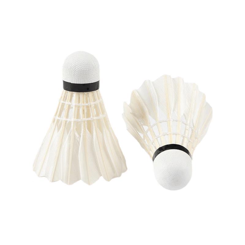 LISM Durable Badminton Shuttlecocks (12-Pack)