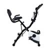 Foldable Magnetic Exercise X-Bike