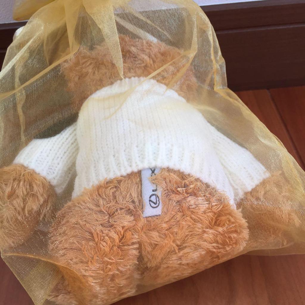 [USED] Lexus Teddy Bear (Snow)