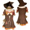 The Wizard of Oz, Play Costumes, Halloween Game Costumes, Witch Costumes, Adult Women