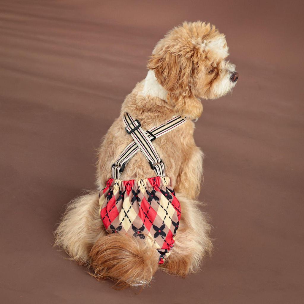 Large Dog Physiological Safety Suspenders - Female Dog Menstrual Anti-Harassment Pants