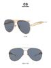 2025 Trendy Women's Retro Street Style Metal Sunglasses