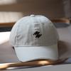 White raspberry wide-brimmed baseball hat men's and women's street tide sunshade cap brown top hat
