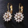 Fashion Drop Earrings For Women's Jewelry