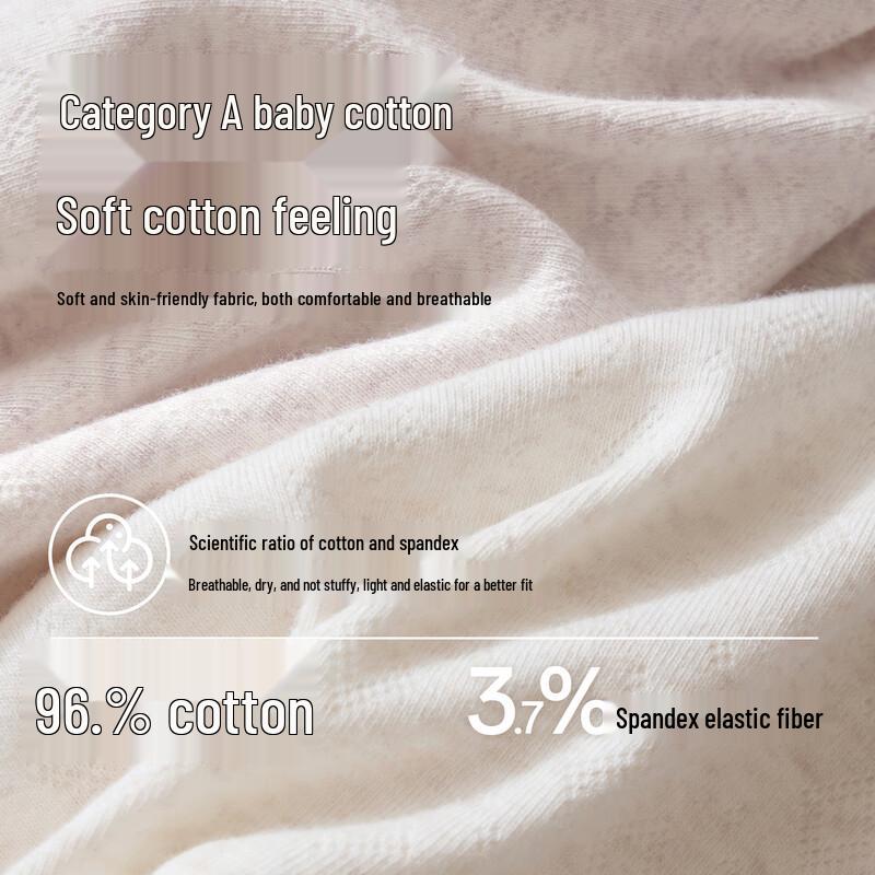 SecretWorld Women's 100% Cotton Antibacterial Lace Briefs