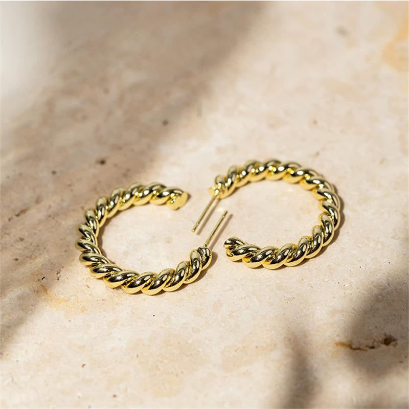 Vintage Spiral Twist Hoop Earrings For Women Trendy Gold Color Earrings Punk Hip Hop Jewelry Wholesale