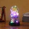 New Marriage Proposal Transparent Luminous Decorative Ornament Wedding Gift Plastic Cover Desktop Ornament Night Light