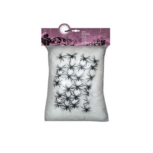 Toile d'araignée blanche et araignées