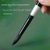 Black Swan Watercolor Paintbrush Complete Set of Professional Imitation Gray Mouse Hair Animal Brush Pointed Drawing Line Pen