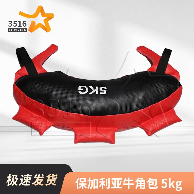 Bulgarian Sandbags and Training Rack