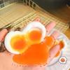 Handmade Kneading Music Toy Muddy Texture Slow Rebound Squishy  for Calm Stress