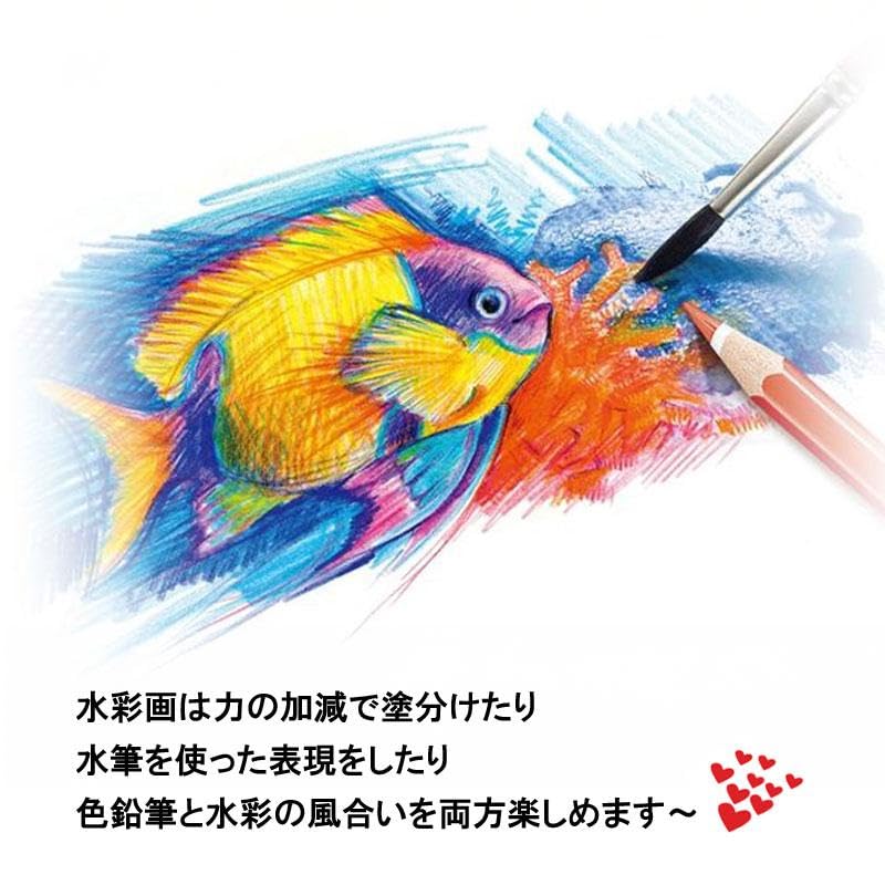 and Colored Pencil Set with Storage and 3 Patterned Perfect for and Perfect for and 72-Color Oil-Based Water-Based Bag, Sharpener, Colors. Beginners,