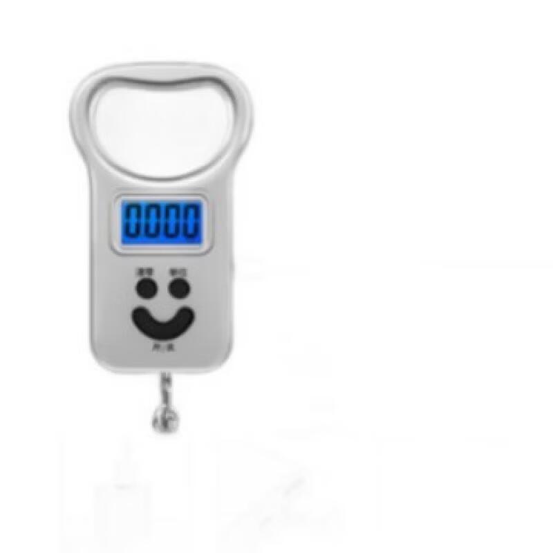 Portable High-Precision Digital Scale (CN Version)